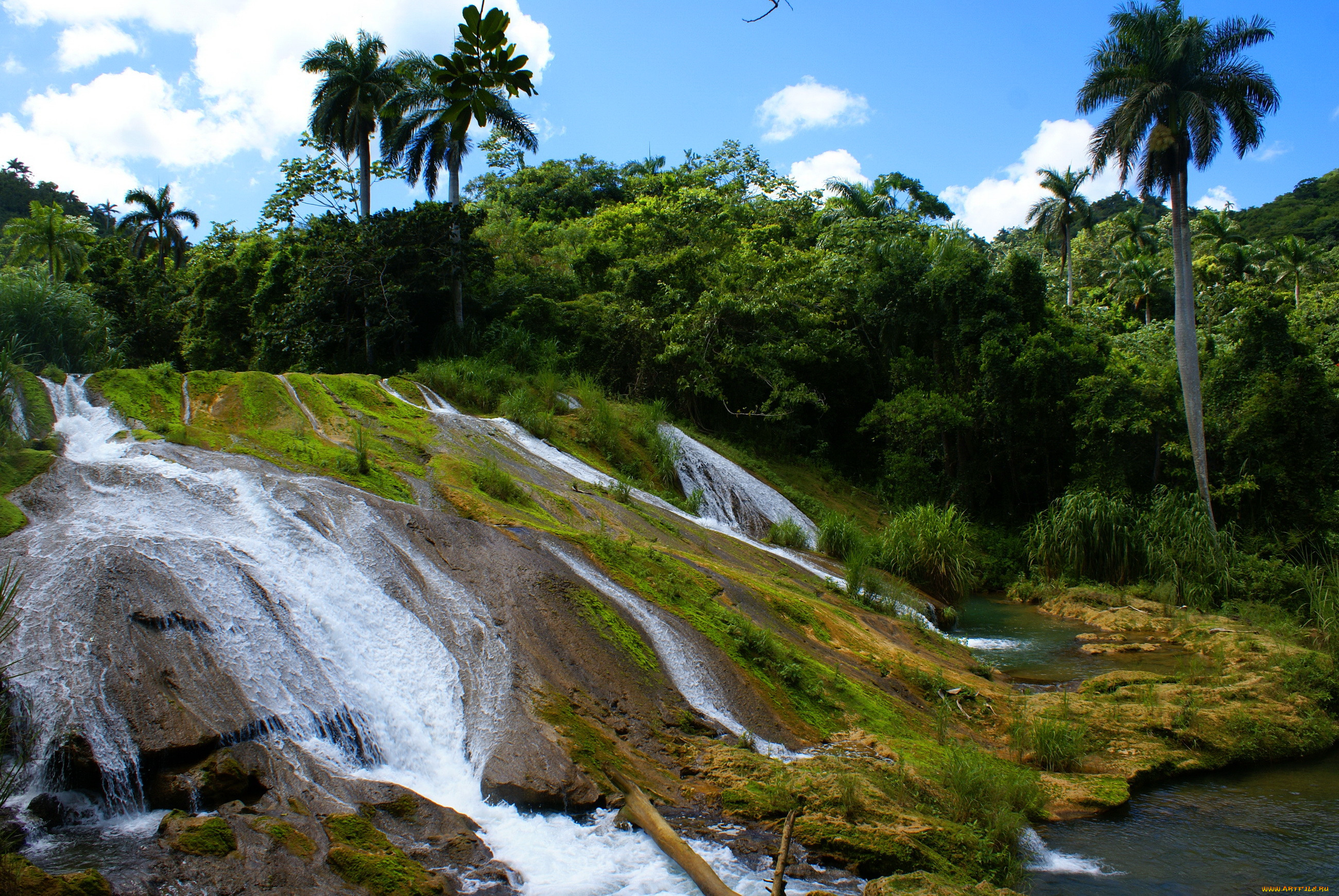 cascadas de el nicho  , , , , , 